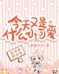 今天又是什么小可爱TXT