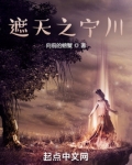 遮天之宁川下载