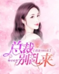 总裁强势宠boss别乱来