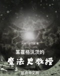 霍格沃茨魔法史课程