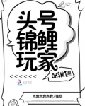 无限生存之锦鲤玩家 小说