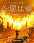 从路人开始拳愿比赛无防盗