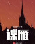 谍雁小说免费阅读
