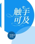 触手可及的幸福电视连续剧