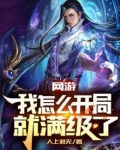 网游：我怎么开局就满级了？