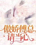 傅总的傲气包
