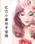 亿万小妻抢手宠婚小说