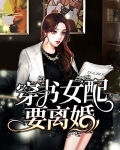 穿书女配要离婚的小说