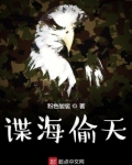 谍海偷天精校