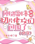 刚进副本就被切片佬攻们包围了(快穿)作者:了我长恨