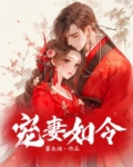 宠妻如令txt