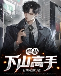 都市绝品高手 8难