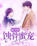 陆少宠你入骨 小说