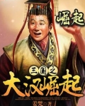 大汉三国之大汉崛起
