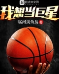我想当巨星叶斯