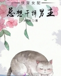 快穿之女配总想离婚