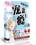 一号新妻:老公宠上瘾免费阅读