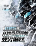 特种兵:从铁拳团开始强势崛起小说TXT免费下载