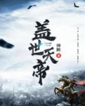 盖世天帝叶枫