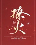 撩火假面的盛宴免费阅读