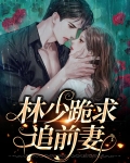 作者:林少言
