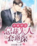 总裁大人的替嫁新娘全文免费阅读第197章