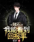 赌石：我能看到回报率