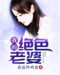 我的绝色老婆