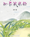 知否笑长歌TXT小说免费下载