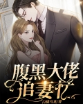 腹黑王爷追妻忙 小说