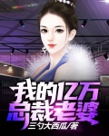 我的亿万总裁老婆