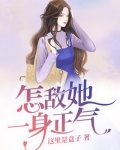 怎敌她一身正气续集