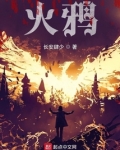火鸦点化要多少点化丹