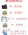 寒剑栖桃花人物关系