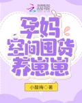 孕妈空间囤货养崽崽 小酸梅