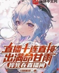 甘雨演示