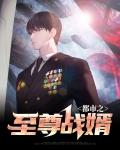 都市至尊豪婿电视剧全集