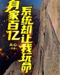身家百亿系统却让我玩命
