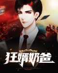 狂婿奶爸 小说