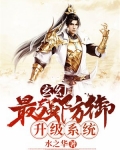 最强防御类型系统小说
