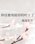 你压着我隐形的叶子了作者:城南花开