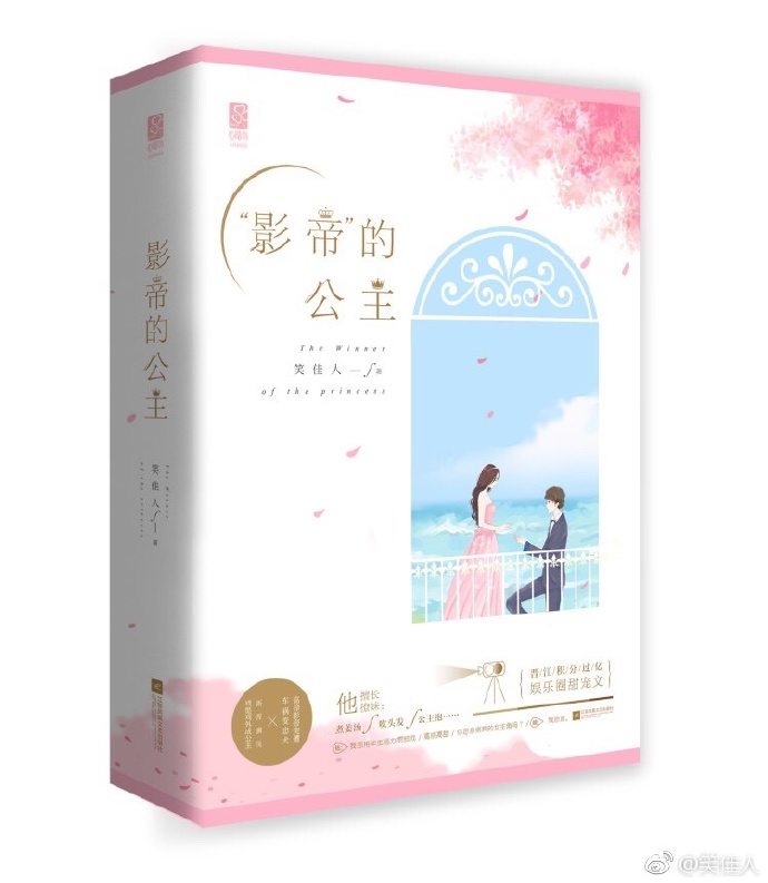 影帝的公主电视剧在线观看