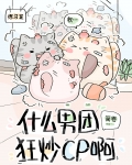 什么男团狂炒cp啊格格党