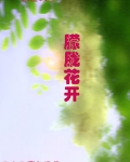 朦胧花火图片