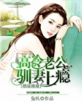 高冷老公训妻上赢