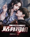 女总裁的贴身高手贴身高手