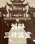 我,刘辩,三兴汉室下载