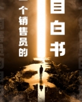 一个销售员的自白书TXT