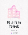 影子背后的秘密