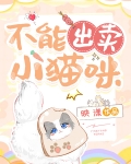 不能出卖小猫咪小说
